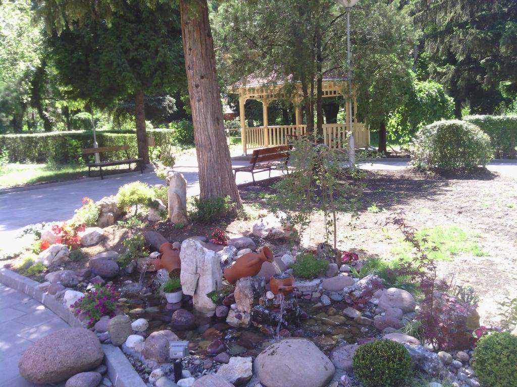 Bed and Breakfast Prenociste Gazela Pirot Exterior foto