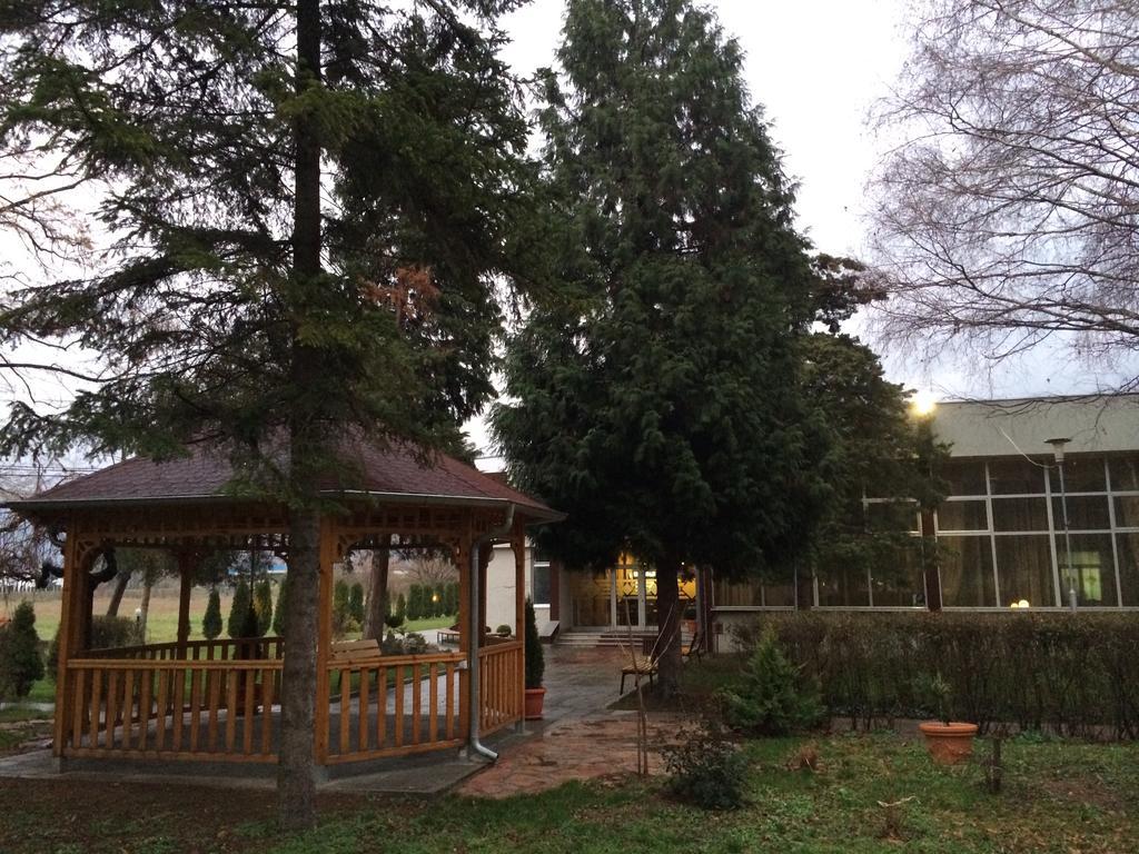 Bed and Breakfast Prenociste Gazela Pirot Exterior foto